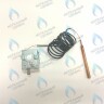39816110 Термостат дымовых газов предохранительный 110C  (36401810) FERROLI в Самаре