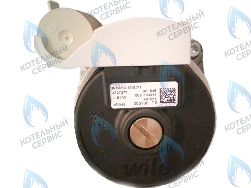 0020186161 Двигатель насоса Protherm Lynx Condens 18/25 MKV -A (H-RU) (81W) (без улитки) (против часовой, втулка 40мм, колесо 68/21мм) в Самаре