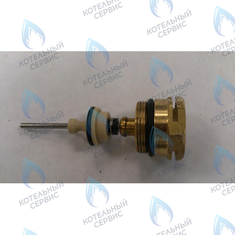 6610410019 Заглушка золотника трехходового клапана с фторопластовым уплотнением BAXI в Самаре