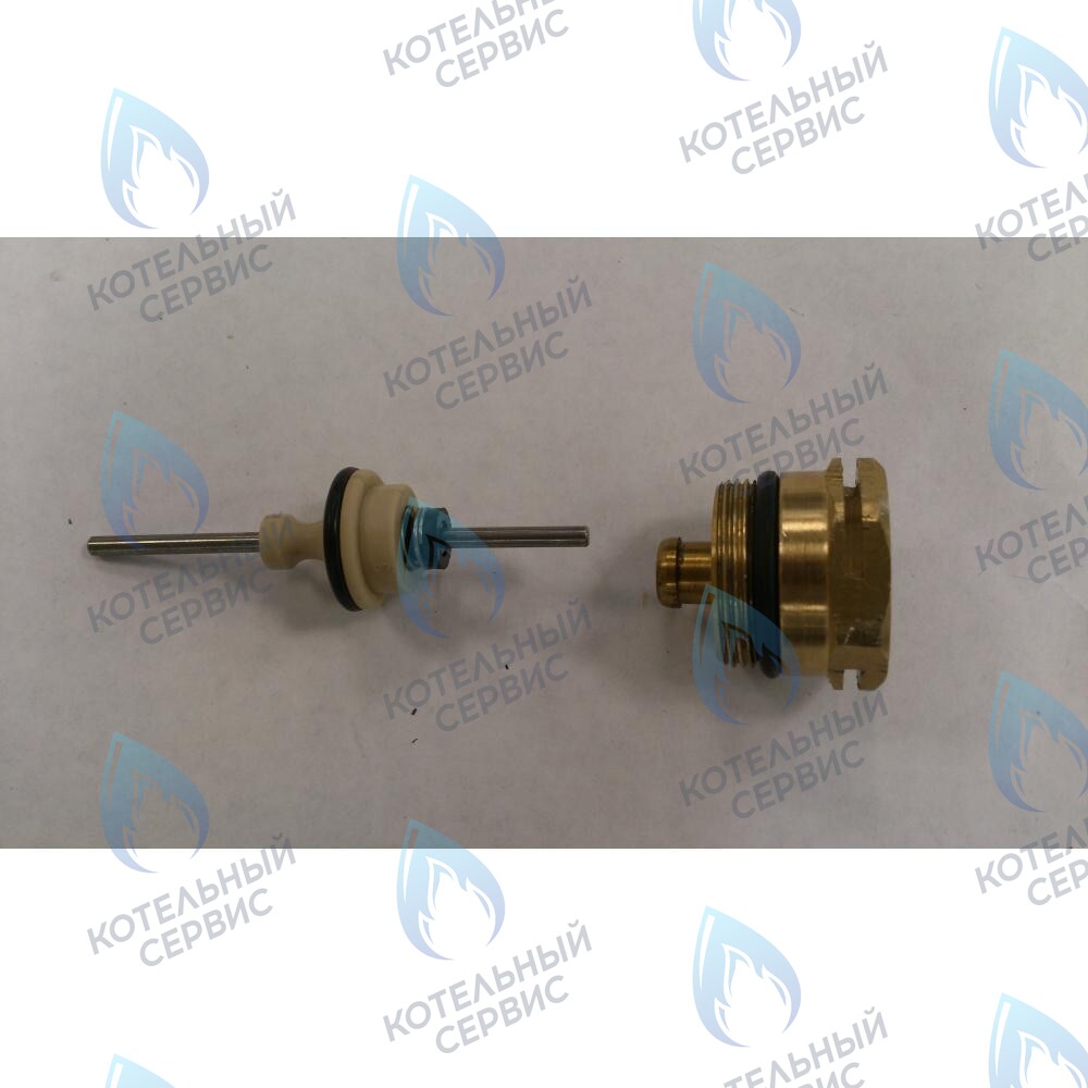 6610410019 Заглушка золотника трехходового клапана с фторопластовым уплотнением BAXI в Самаре