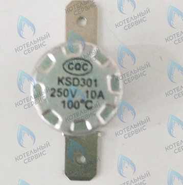 46360830 Термостат 100°С (silver) FERROLI в Самаре