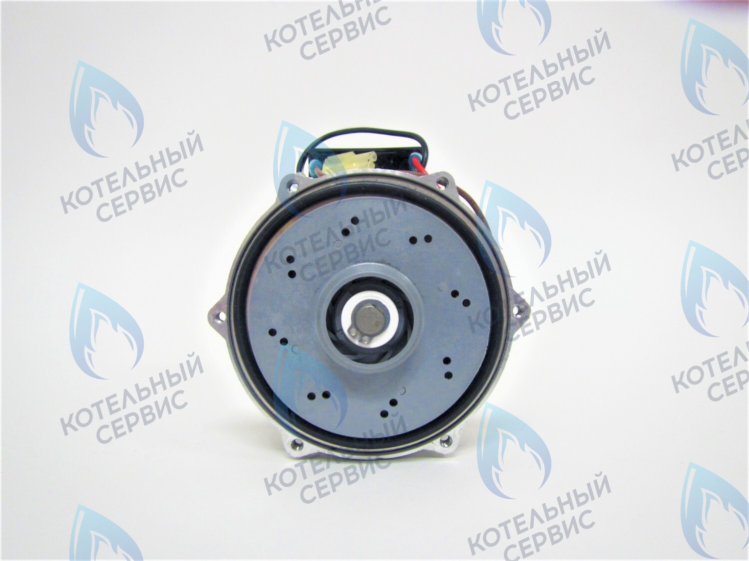 PH-S46CW80-CS99 Двигатель насоса (без улитки, с прокладкой) для котлов до 50кВт GRUNDFOS CS-0128DSA1 в Самаре