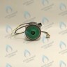 PH-W21CCW60-DA90PR-5PIN Двигатель насоса Duca APW-R 15-6.2A (против часовой стрелки) PROTHERM Пантера H-RU (0020197549, 0020209790) (замена WILO INTVACL 15/6.7-2) ПАНТЕРА 35 KTV H-RU (0020186162) (замена VACL 15/7) в Самаре
