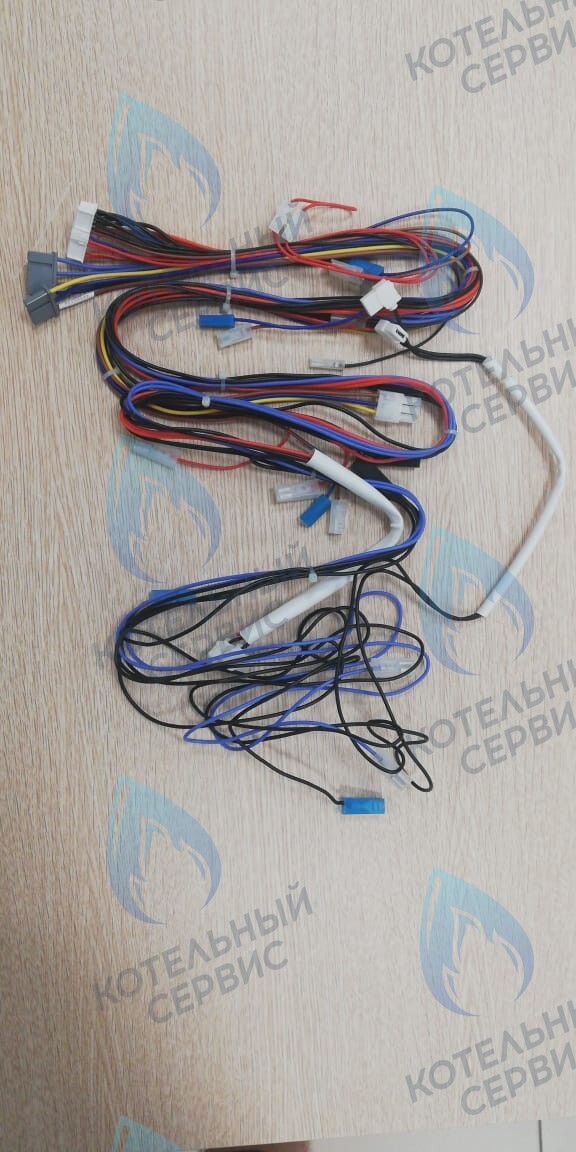 398065420 Комплект проводов Ferroli (RU) Domina F 24 Pro (398065420) в Самаре