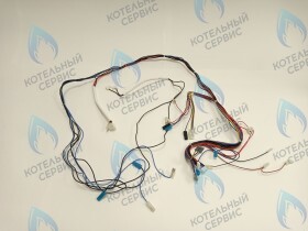 Комплект проводов Ferroli (RU) Domina F 24 Pro (398065420)