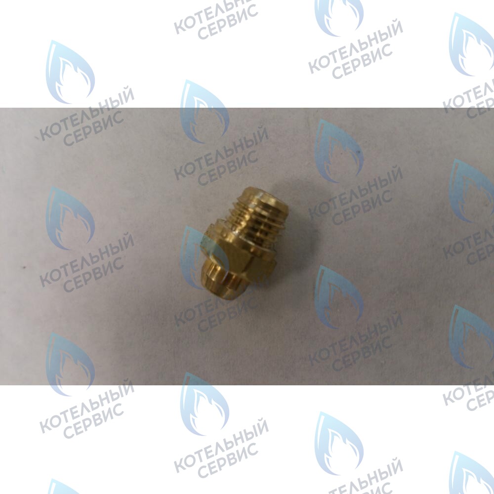 6306101018 Инжектор Ø 0,80 (Сжиженный газ) BAXI в Самаре