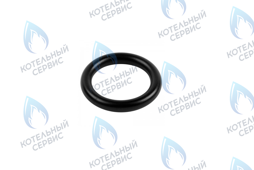 0020034114 Прокладка 14x9,5x2,5 PROTHERM в Самаре