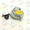 BI1596 102 Прессостат (BI1596 102) BIASI в Самаре