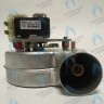 398000170 Вентилятор дымоудаления (53w) FERROLI Fortuna в Самаре