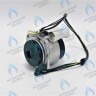 0020197549 Двигатель насоса Protherm Пантера (без улитки) 30 KOV / KTV (H-RU)(63/81W) (без улитки) (против часовой, втулка 40мм, колесо 68/21мм) в Самаре