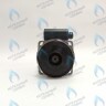 PH-W30CW70-WL132BX Двигатель насоса (без улитки) WILO RS 15/7 132w (30мм по часовой) FERROLI, FONDITAL, BAXI и др в Самаре