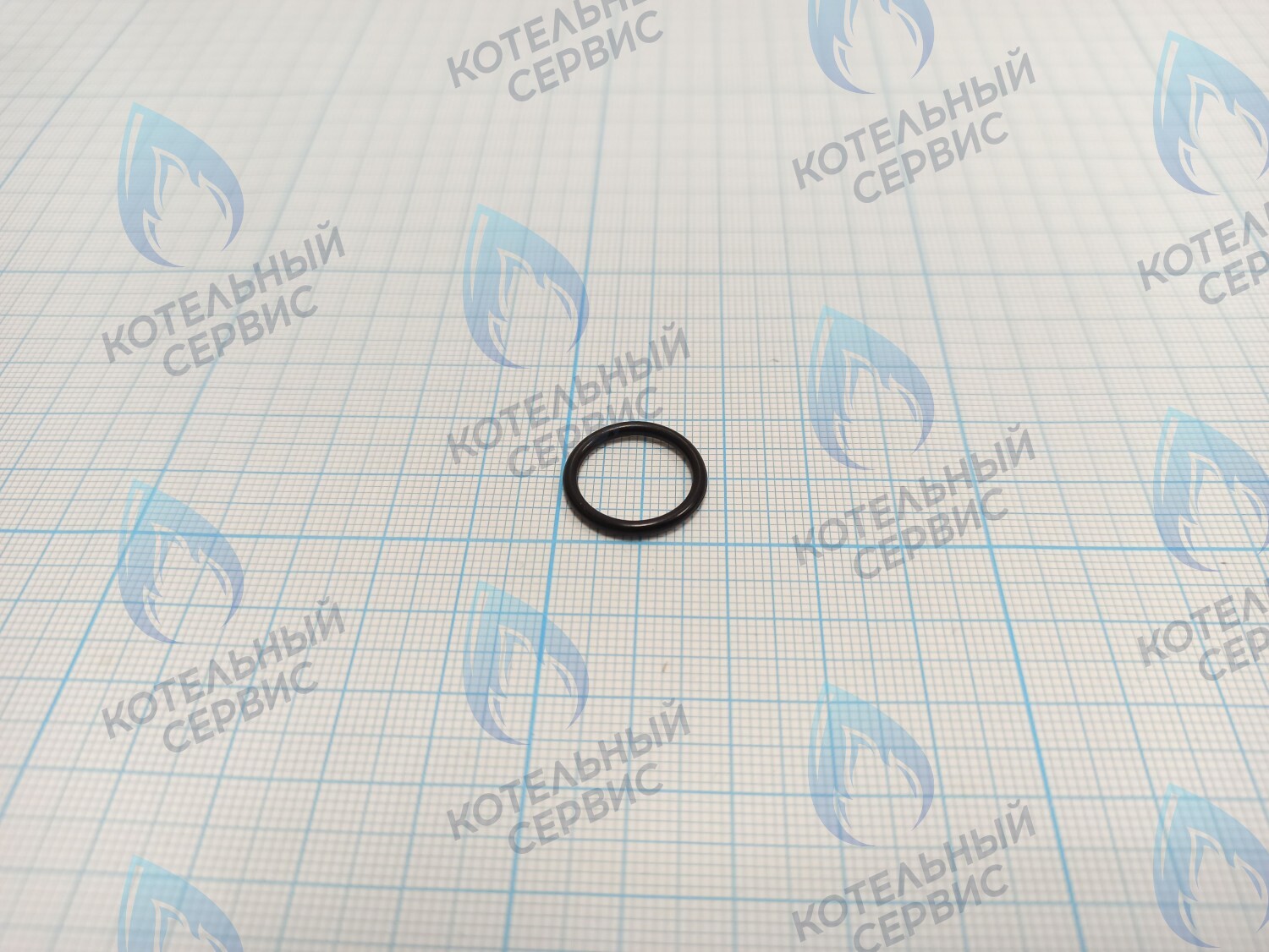 BI1001 129 Прокладка O-Ring 1,78x14,00 BIASI в Самаре
