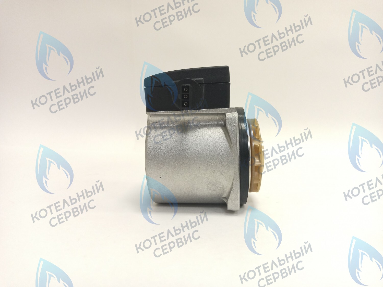 PH-W21CCW60-GR110BB Двигатель насоса GRUNDFOS 15-60 для котла BOSCH 6000/2000 & BUDERUS U072 в Самаре