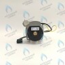 PH-W21CCW50-WA79PR-5PIN-Комп Двигатель насоса 1000L/H аналог WILO INTVACL 15/5-2 Protherm Гепард 23 MTV / MOV вер. 19, Пантера 25 KTV / KOV, 30 KTV вер. 19 (без улитки) (против часовой, втулка 35мм, колесо 68/21мм) (0020097216, 0020197548) в Самаре