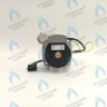 PH-W21CCW50-WA79PR-5PIN-Комп Двигатель насоса 1000L/H аналог WILO INTVACL 15/5-2 Protherm Гепард 23 MTV / MOV вер. 19, Пантера 25 KTV / KOV, 30 KTV вер. 19 (без улитки) (против часовой, втулка 35мм, колесо 68/21мм) (0020097216, 0020197548) в Самаре