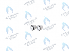 Клапан обратный FERROLI