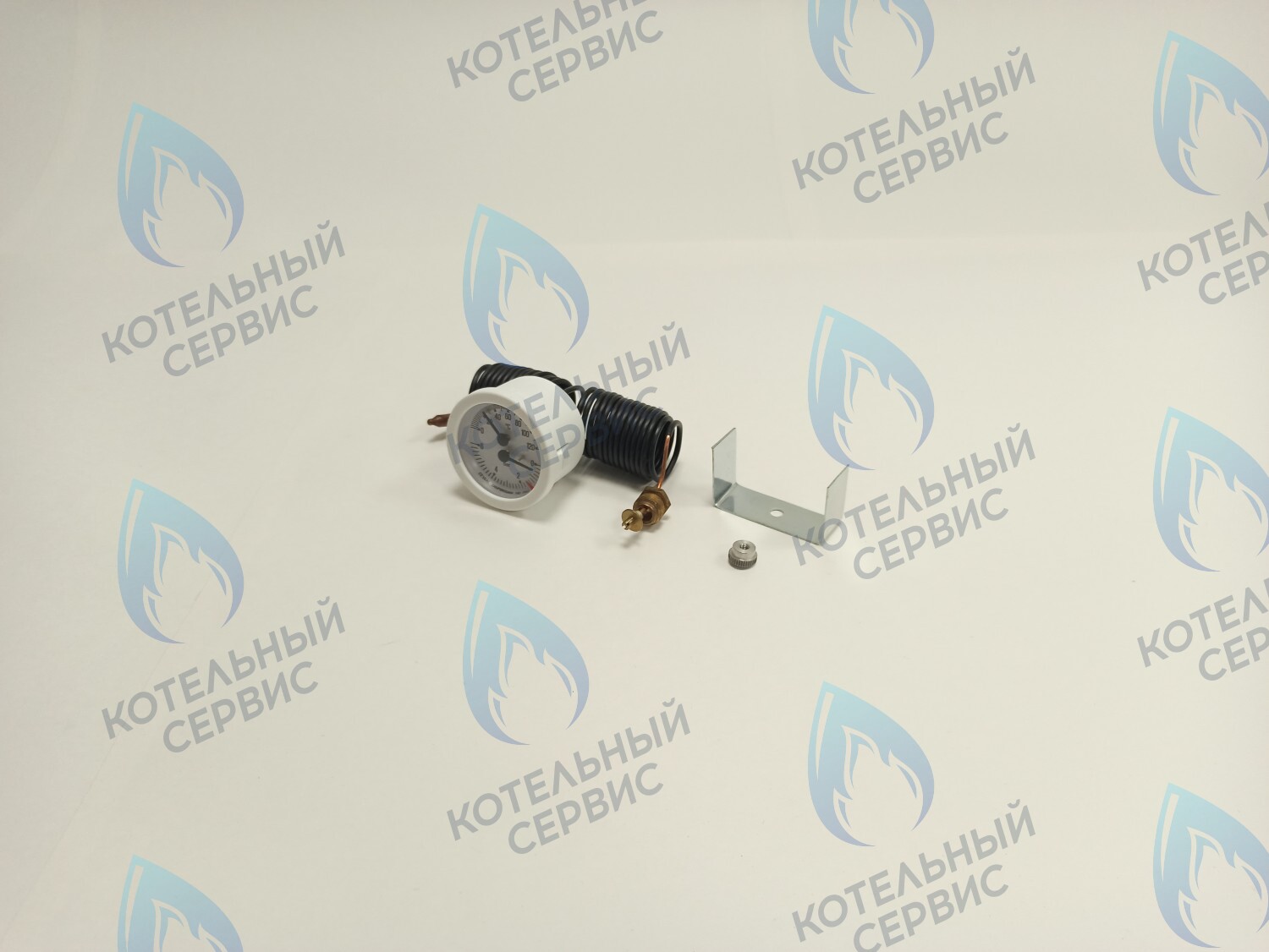 39806020 Термоманометр 0-6 bar 0-120C  (36400790) FERROLI PEGASUS F3 в Самаре