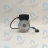 PH-W21CW60-WC83-5PIN-Комп Двигатель насоса аналог WILO VHSL15/6 HE-2 (по часовой стрелке) PROTHERM Лев, Пантера V.18 (0020078492), Скат K13, Дельфин (0020094635), Скат V14 (0010025841) VAILLANT atmo/turboTEC 20-28 КВТ (0020213167, 0020005803), eloBLOCK (0020107584) в Самаре