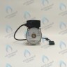 PH-W21CW60-WC83-5PIN-Комп Двигатель насоса аналог WILO VHSL15/6 HE-2 (по часовой стрелке) PROTHERM Лев, Пантера V.18 (0020078492), Скат K13, Дельфин (0020094635), Скат V14 (0010025841) VAILLANT atmo/turboTEC 20-28 КВТ (0020213167, 0020005803), eloBLOCK (0020107584) в Самаре