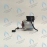 PH-W21CW60-WC83-5PIN-Комп Двигатель насоса аналог WILO VHSL15/6 HE-2 (по часовой стрелке) PROTHERM Лев, Пантера V.18 (0020078492), Скат K13, Дельфин (0020094635), Скат V14 (0010025841) VAILLANT atmo/turboTEC 20-28 КВТ (0020213167, 0020005803), eloBLOCK (0020107584) в Самаре
