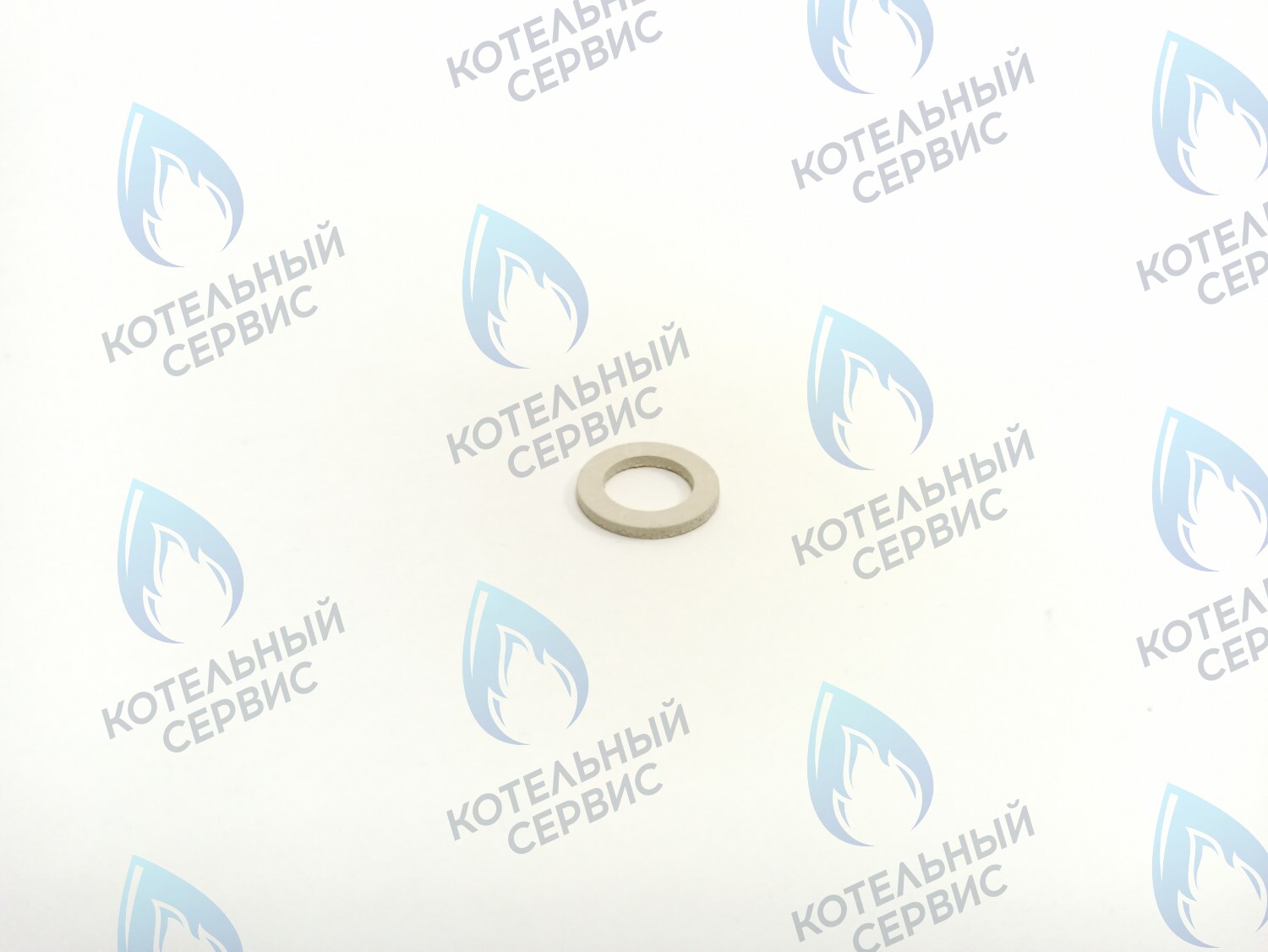 BI1001 109 Плоская прокладка 3/8" вн. D=9,1мм. (BI1001 109) ELECTROLUX в Самаре