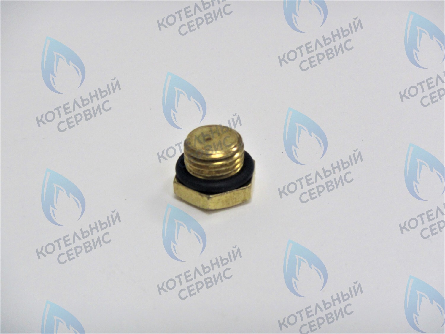 ZZ009 Заглушка 1/4" наружная резьба в Самаре