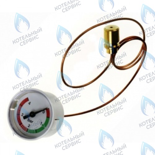 0020094636 Манометр PROTHERM в Самаре