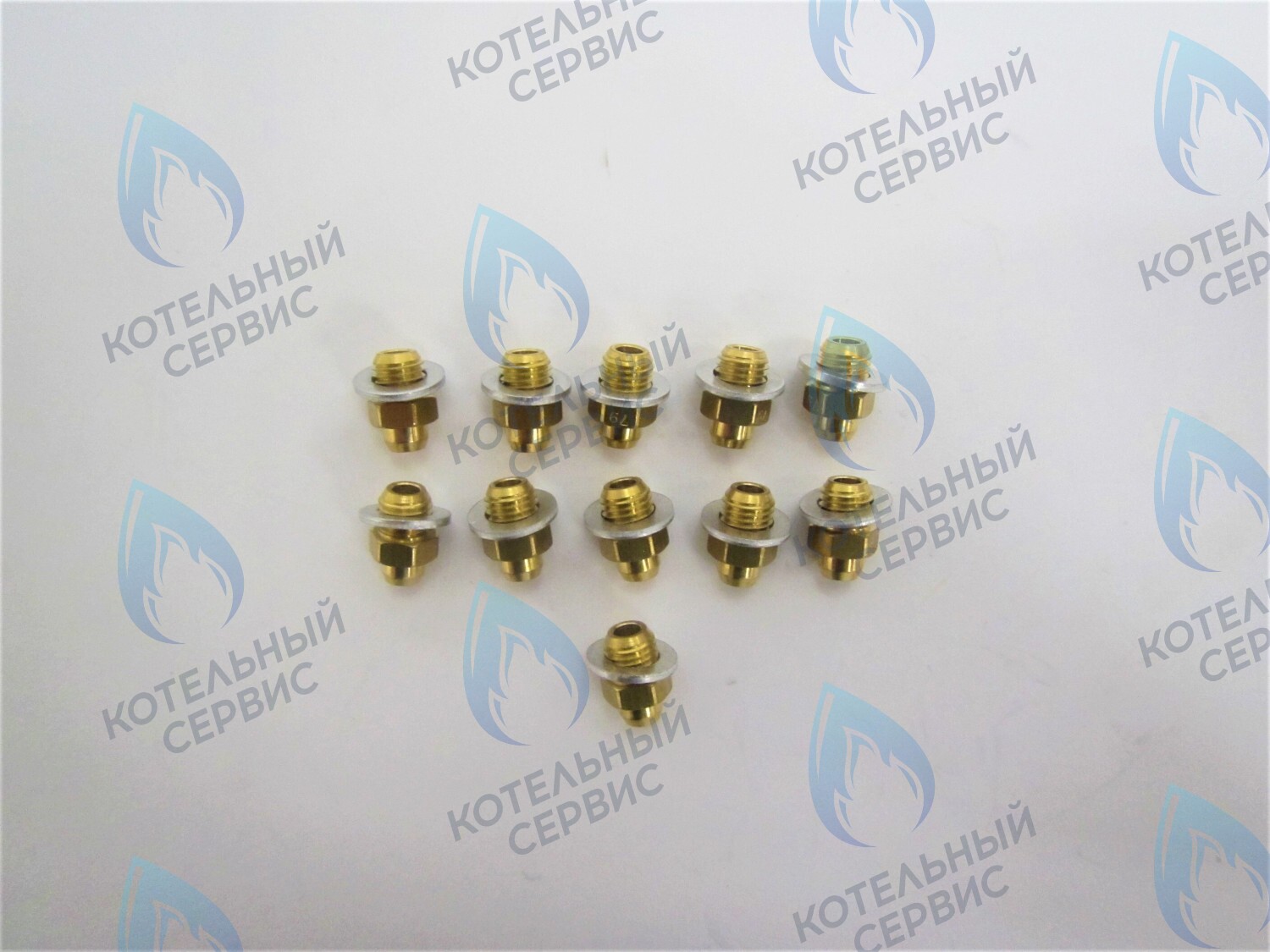 39819600 Комплект форсунок LPG на сжиженный газ D0,79 (11шт/комп)  (ITA398907242) FERROLI в Самаре