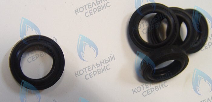 0020014166 Прокладка PROTHERM в Самаре