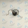 PH-W21CW50-DA84-2PIN Двигатель насоса DUCA APW 15-5.1A (1 скорости) аналог Wilo Ariston (60001584, 60000876, 60000876-01) в Самаре