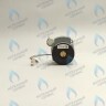 PH-W21CW50-DA84-2PIN Двигатель насоса DUCA APW 15-5.1A (1 скорости) аналог Wilo Ariston (60001584, 60000876, 60000876-01) в Самаре