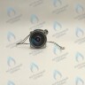 PH-W21CW50-DA84-2PIN Двигатель насоса DUCA APW 15-5.1A (1 скорости) аналог Wilo Ariston (60001584, 60000876, 60000876-01) в Самаре