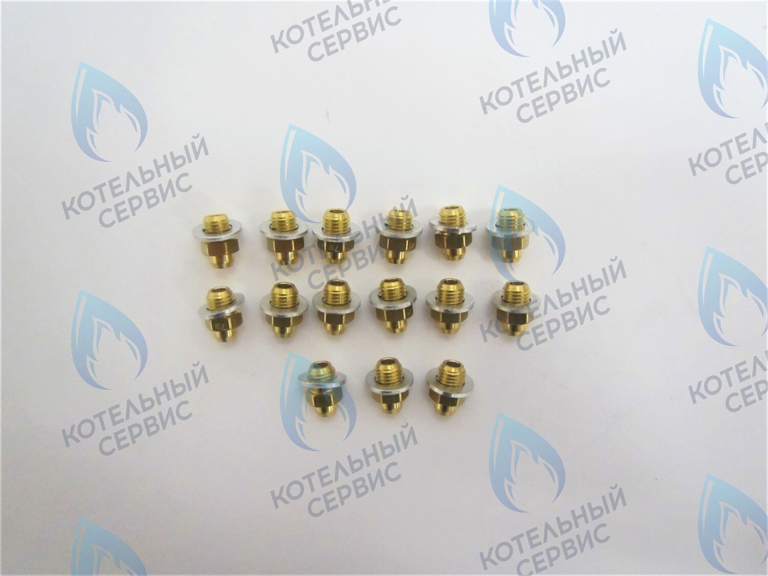 39819710 Комплект форсунок LPG на сжиженный газ D0,79 (15шт/комп) FERROLI в Самаре
