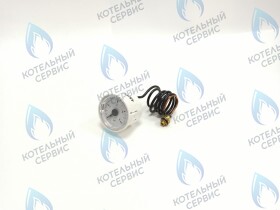 Манометр Quantum (BI1695 101) ELECTROLUX