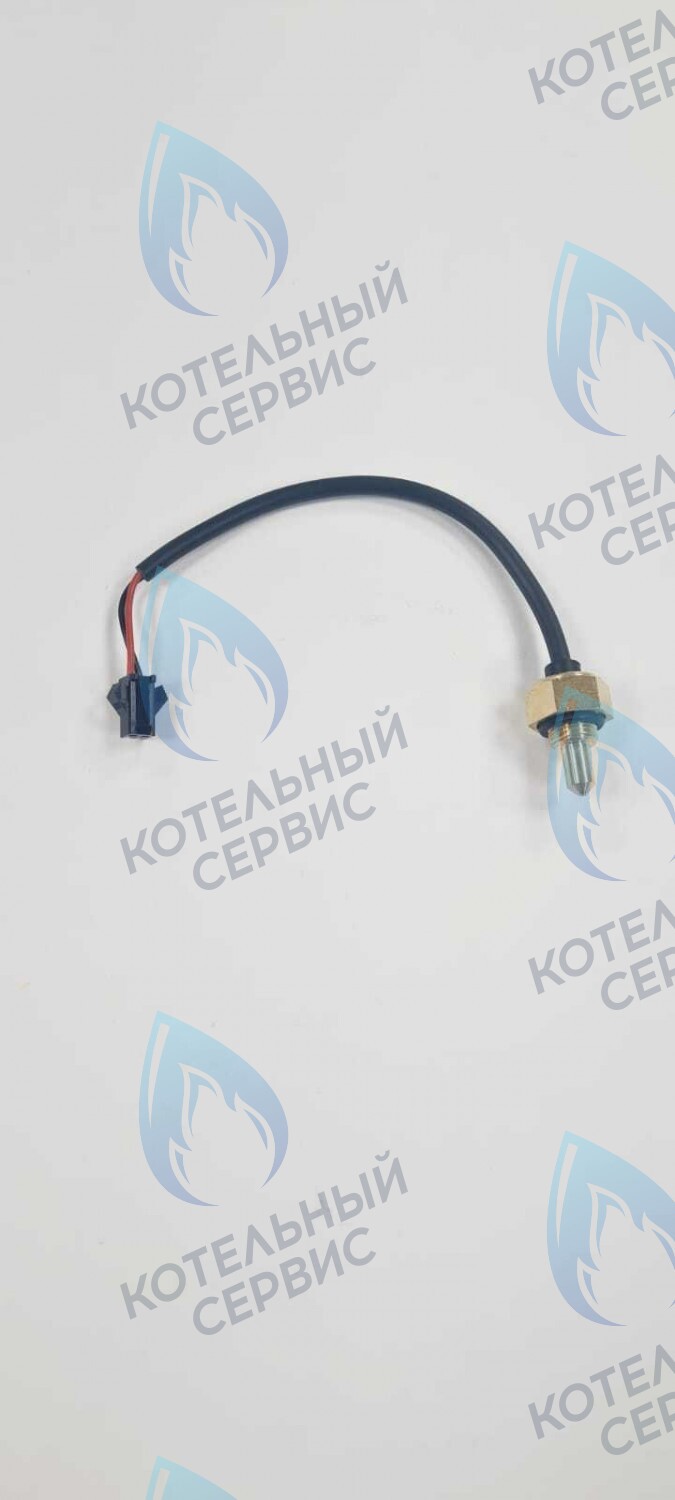 TS008-WP-10-02 Датчик температуры погружной G8 с проводом - папа Mizudo 10кОм в Самаре