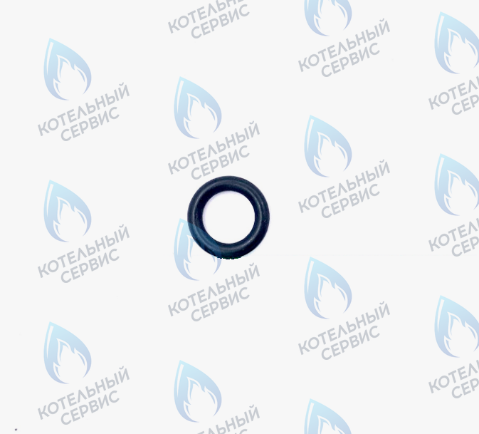 39837670 Прокладка резиновая KIT 20 OR 9,13X2,62 39837670 FERROLI в Самаре