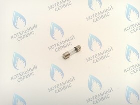 Предохранитель плавкий 2A 20x5мм Basic DUO (все модели) Basic X (все модели) Basic S 18 Fi (ED66018968) ELECTROLUX