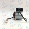 PH-W21CCW67-DW92PR-5PIN Двигатель насоса DUCA VPWR 6.7A (против часовой стрелки) PROTHERM Пантера H-RU (0020197549, 0020209790) (замена WILO INTVACL 15/6.7-2) ПАНТЕРА 35 KTV H-RU (0020186162) (замена VACL 15/7) в Самаре