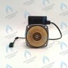 PH-G32CCW50-GR85-3PIN Двигатель насоса GRUNDFOS VPAL-5/2M 85W для VAILLANT (0020014171) в Самаре