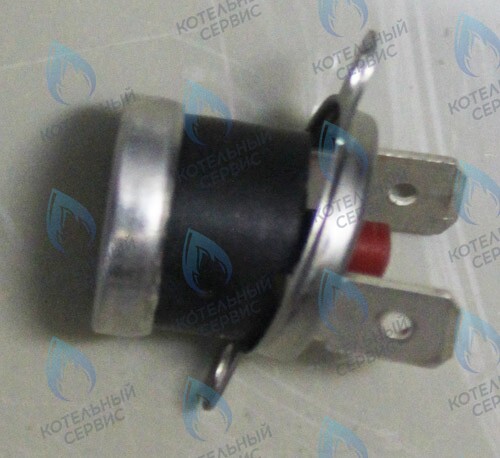 0020094666 Термостат 100°C PROTHERM в Самаре