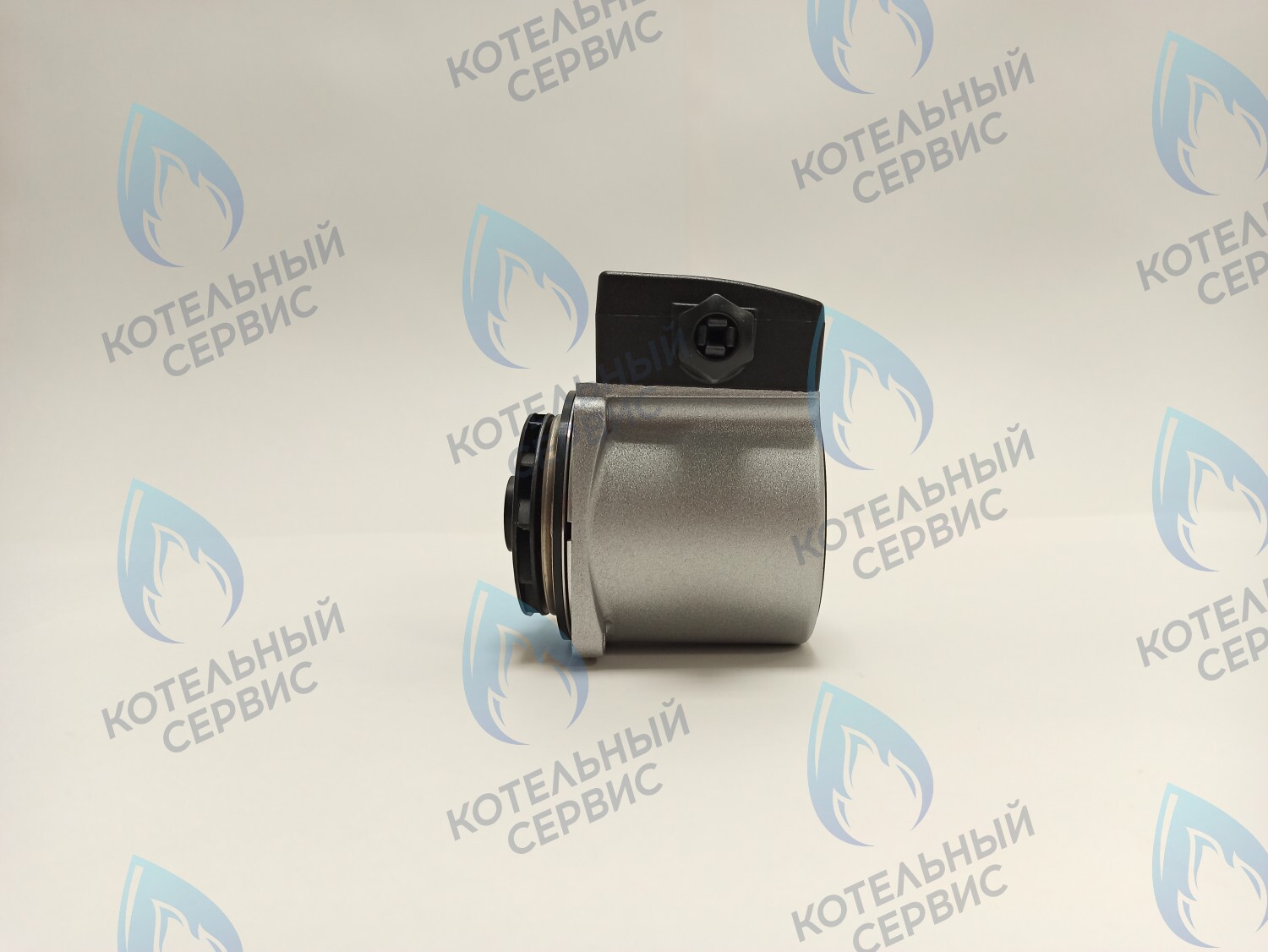 PH-G21CW60-GC105R Двигатель насоса (без улитки) KROD 15-60 105w ALPHENHOFF GAMBURG, FERROLI ARENA (RU), WERT RUS ECO (по часовой) в Самаре