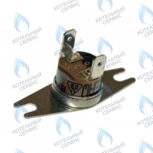 0020049261 Термостат продуктов сгор.65+3°C PROTHERM в Самаре