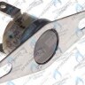 0020049261 Термостат продуктов сгор.65+3°C PROTHERM в Самаре