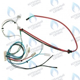 Проводка электрическая (от разъема  платы x5 к датчику протока, датчику NTC ГВС, гидр. прессостату) BAXI
