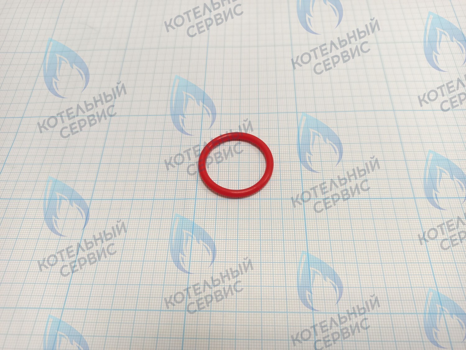 20007016A Кольцо уплотнительное O-ring Navien для фильтра (BH2423087A) в Самаре