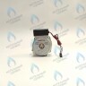 PH-N28CW60-GN95 Двигатель насоса GM-PUMP NVN 15/6 Navien (30000469A, 30000469B, NAPU9GLPCT36) в Самаре