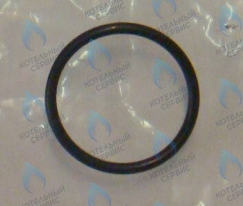 0020097226 Прокладка комплект (10 шт.) PROTHERM в Самаре