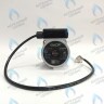 PH-G30CCW50-DG85-5PIN Двигатель насоса DUCA VPG-5/2A 15-50 для VPAL-5/2A Vaillant TEC Plus 3-5 (178983) в Самаре