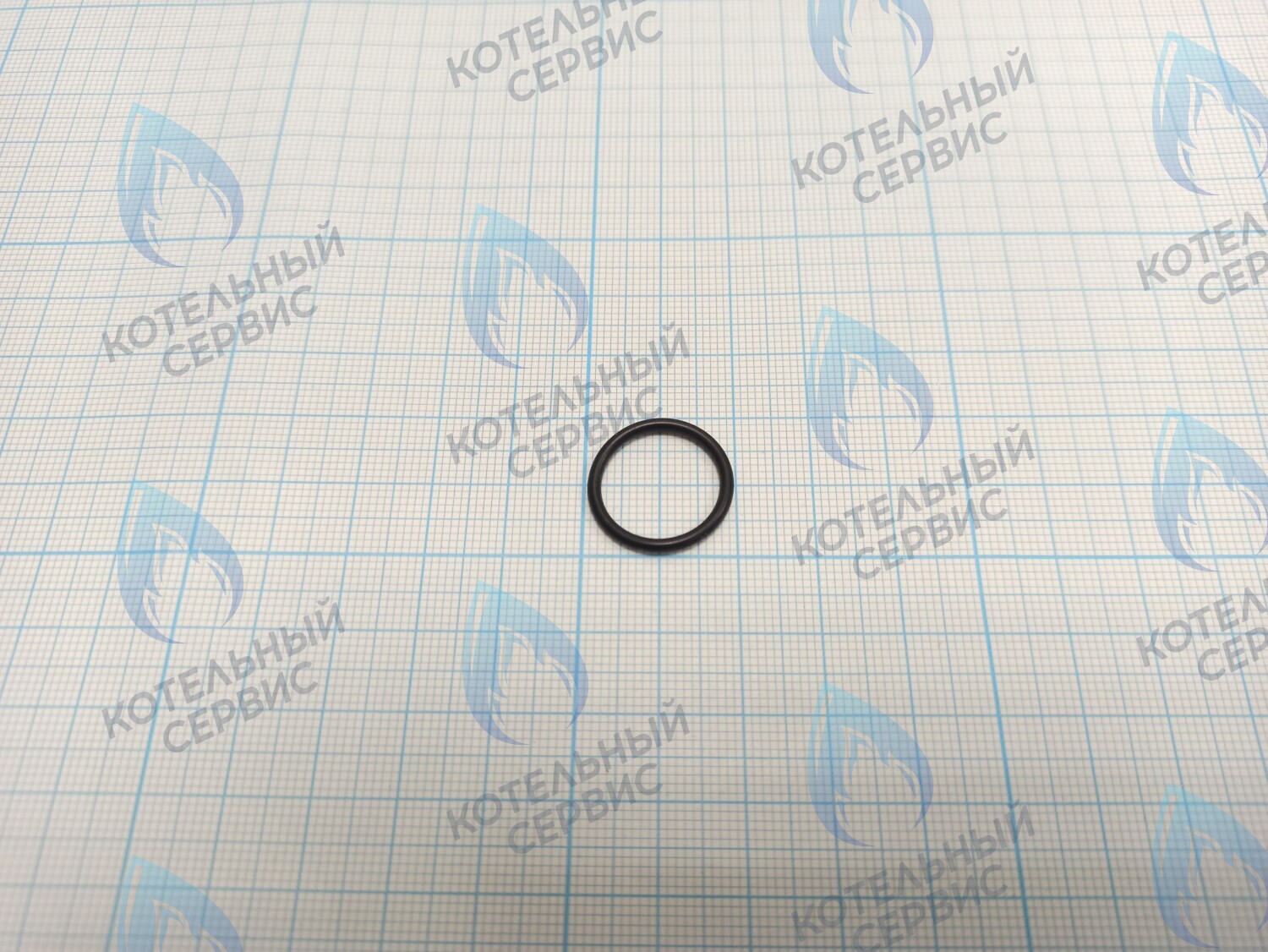BI1001 131 Прокладка O-Ring 1,78 X 15,6 (BI1001 131) в Самаре