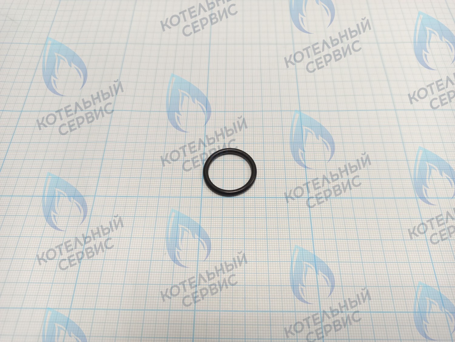 BI1001 130 Прокладка O-Ring 2,6 X 20,6 (BI1001 130) в Самаре